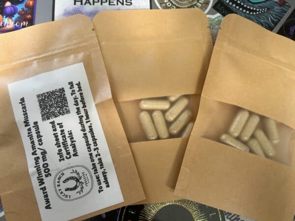 30 Pack -Amanita Muscaria 500mg Capsule - Award Winning!
