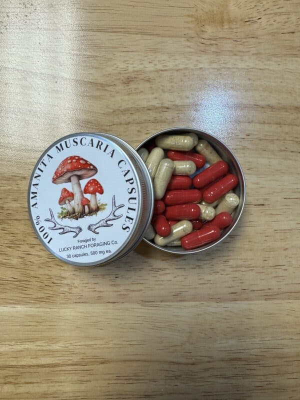 30 Pack -Amanita Muscaria 500mg Capsule - Award Winning!